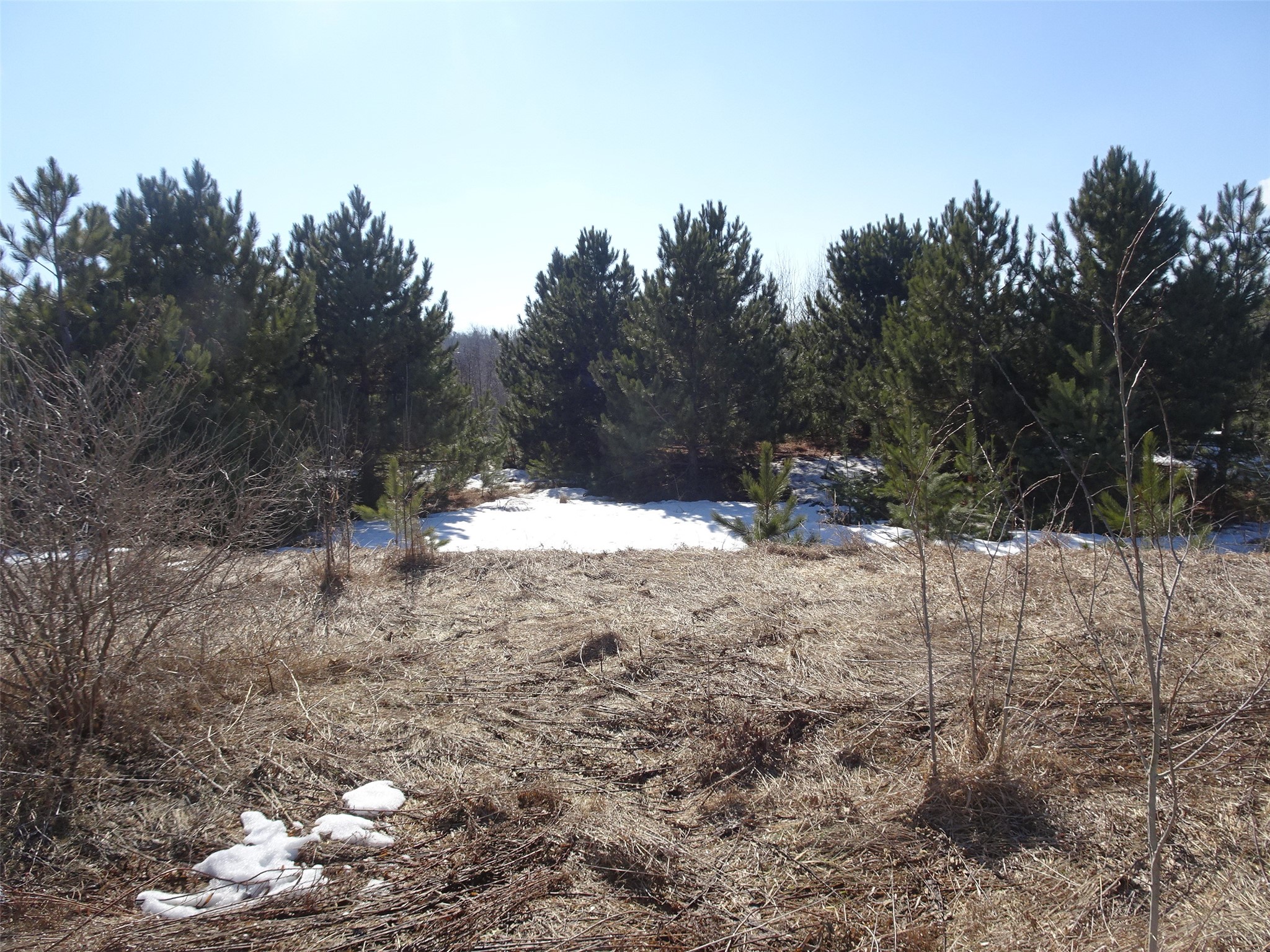 XXX Hwy 35 Frederic WI 54837 1599914 image7