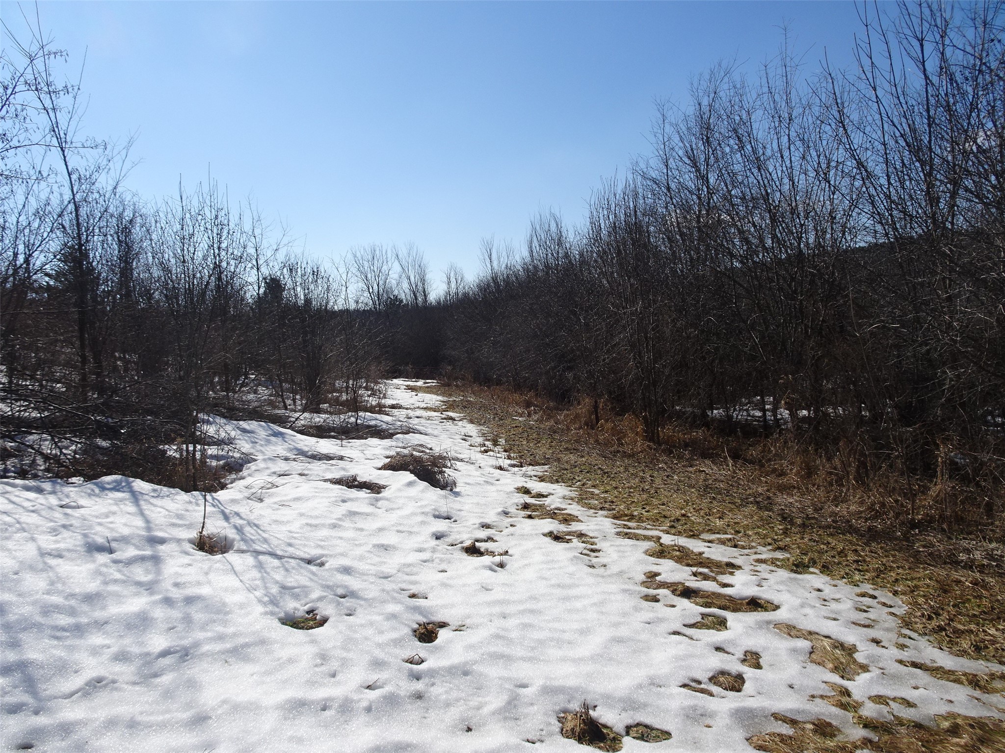 XXX Hwy 35 Frederic WI 54837 1599914 image8