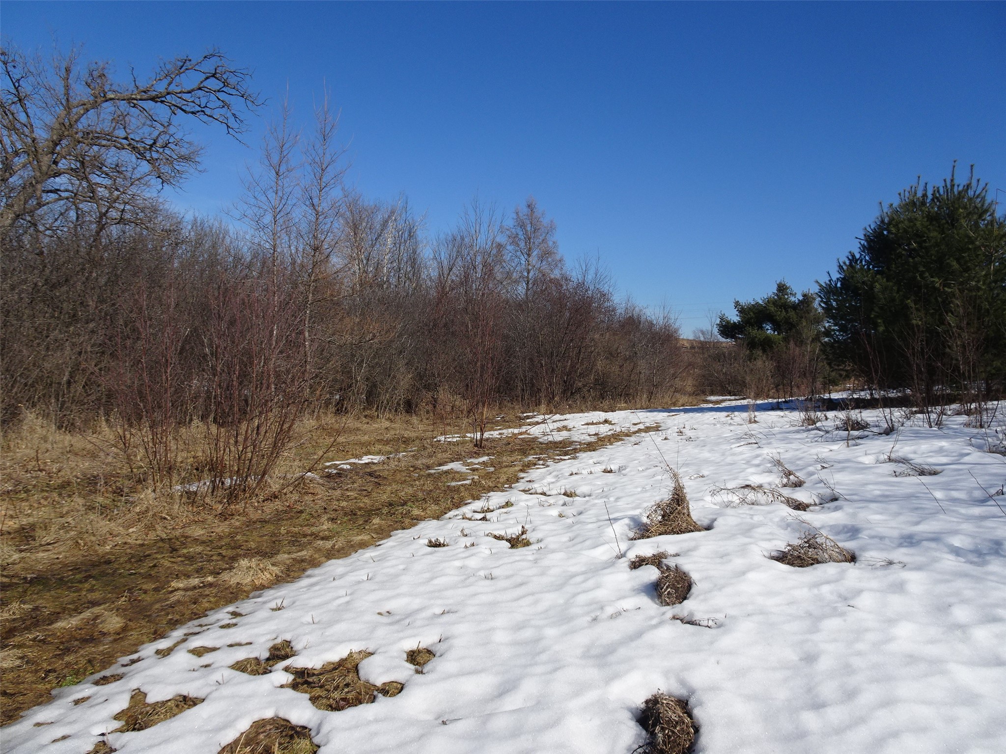 XXX Hwy 35 Frederic WI 54837 1599914 image9