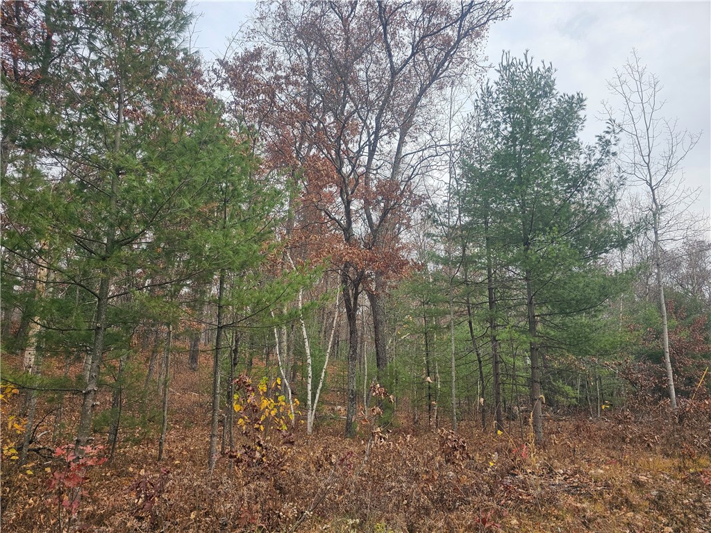 XXX Jamesway Road Siren WI 54872 1587035 image1