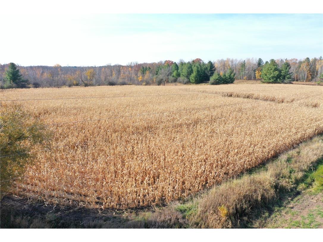 XXX Lara Road Grantsburg WI 54840 1587970 image1