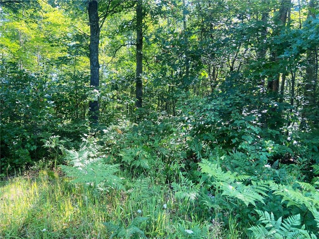 XXX Lee Road Webster WI 54893 1575431 image1