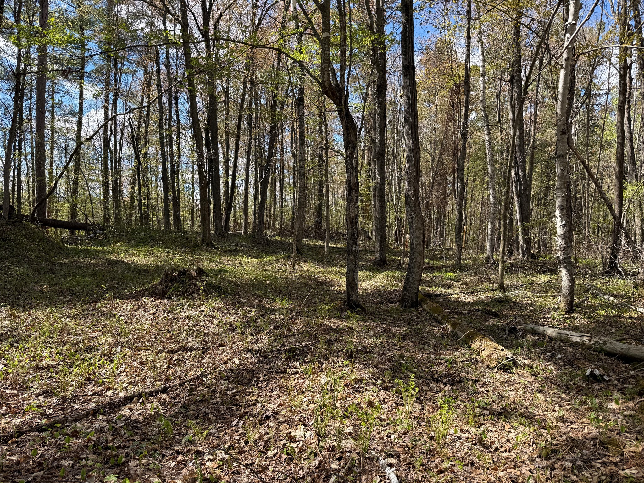 XXX Leonard Road Stone Lake WI 54876 - Mud/Long 1600867 image19