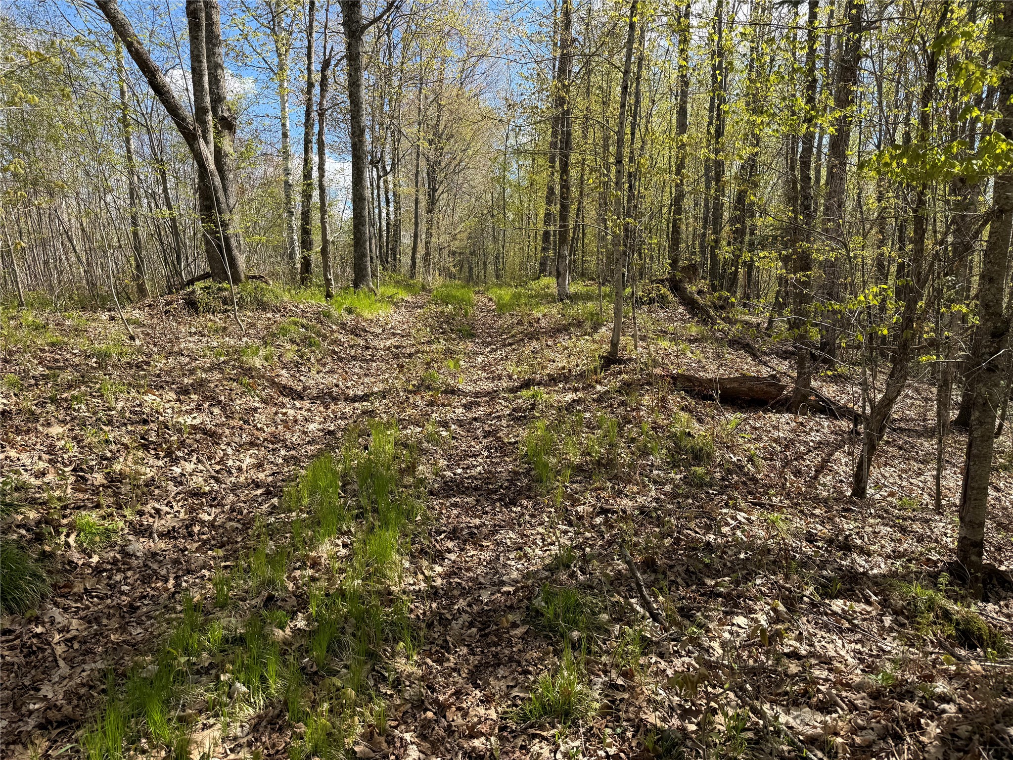 XXX Leonard Road Stone Lake WI 54876 - Mud/Long 1600867 image2