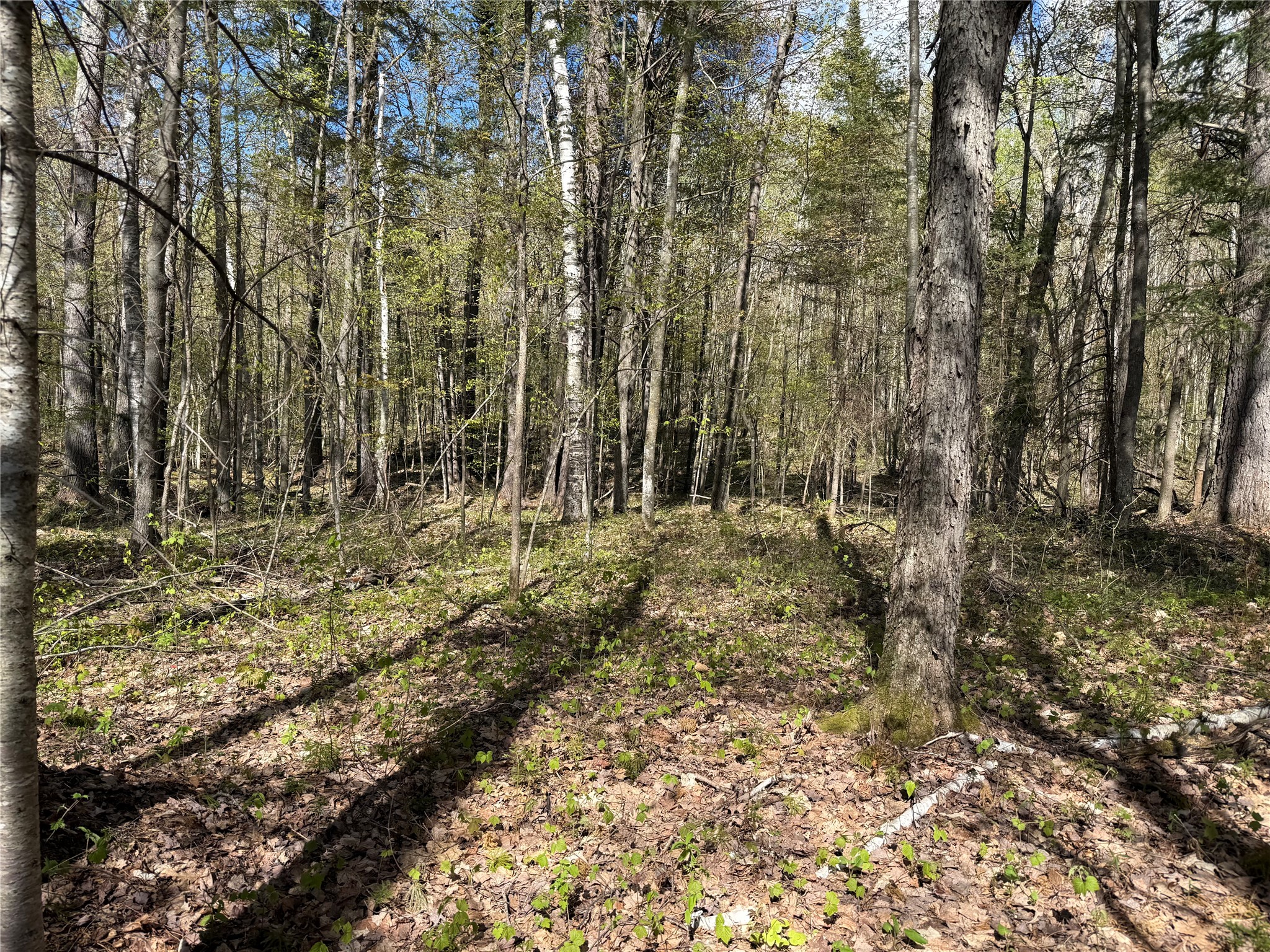 XXX Leonard Road Stone Lake WI 54876 - Mud/Long 1600867 image3