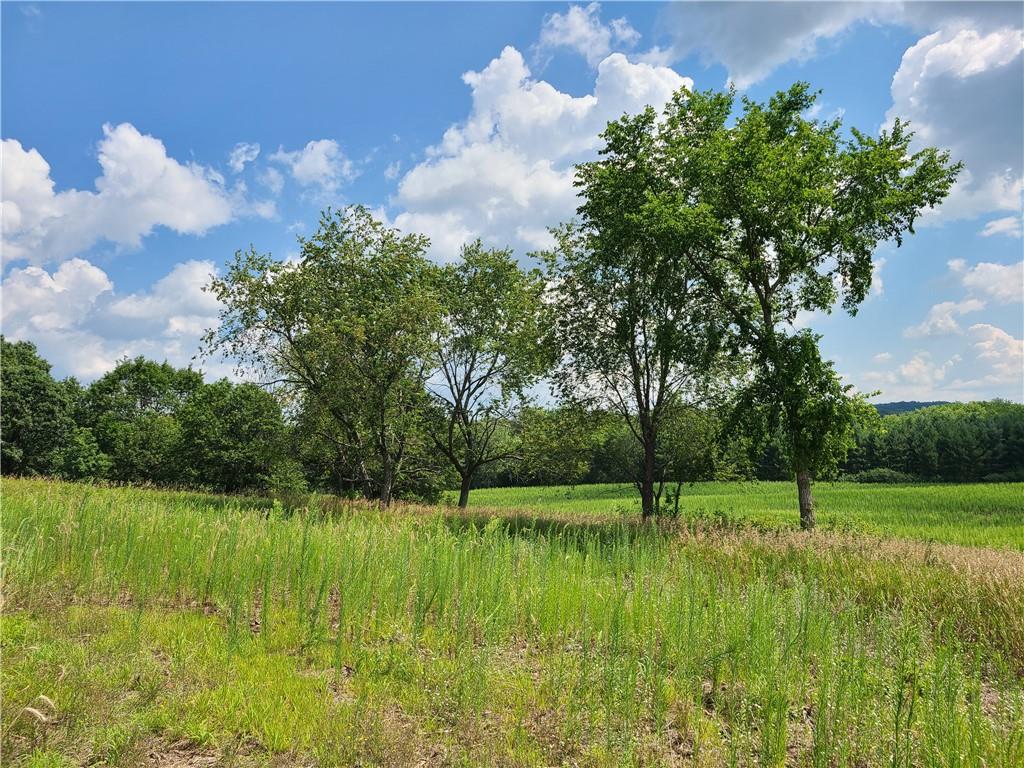 XXX Lot 2 County Rd F Boyceville WI 54725 1568040 image1