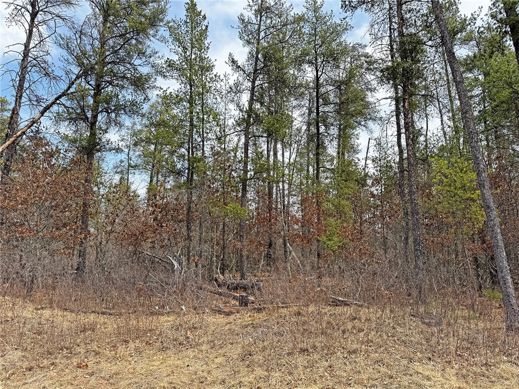 XXX Lot 20 Middle Road Minong WI 54859 1590537 image1