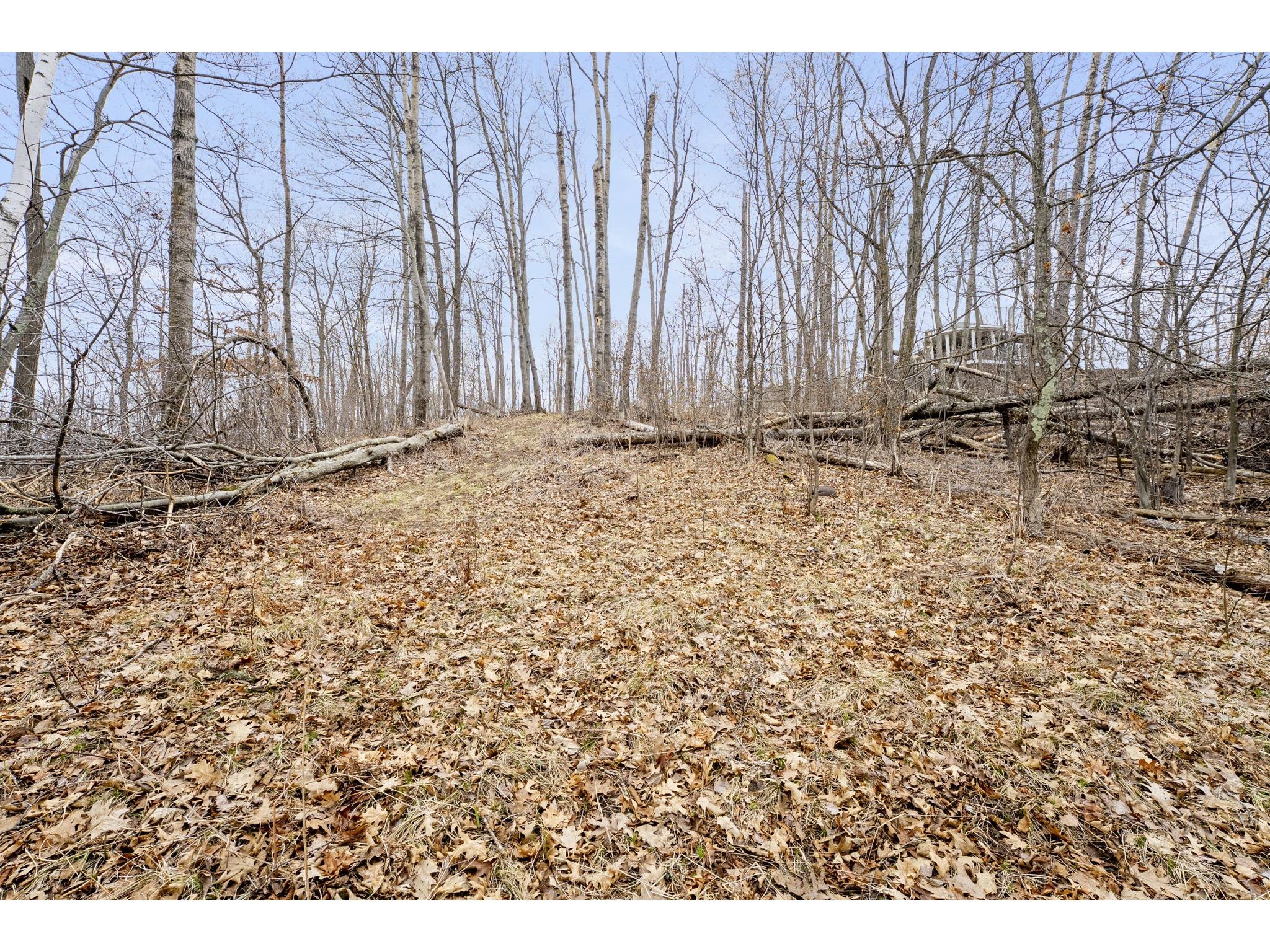 XXX Lot 4 330th Ave/68th St Clam Falls WI 54837 - Clam Falls Flowage 1599930 image18