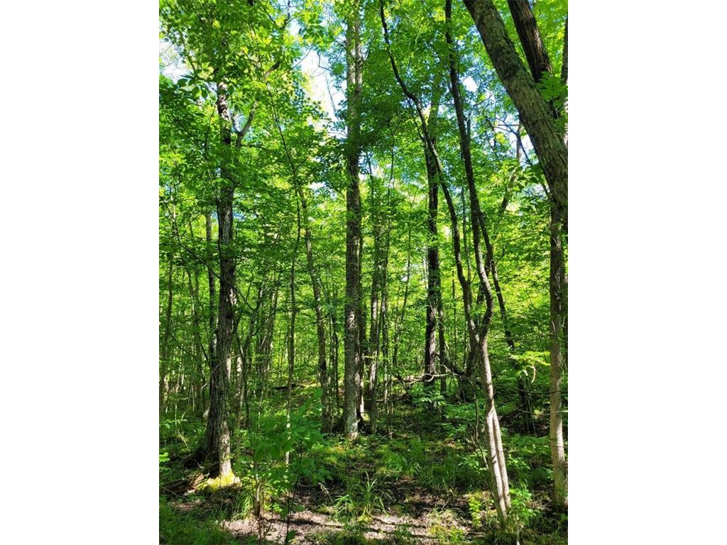 XXX Lot 7 Belvidere Road Sarona WI 54870 1567257 image1