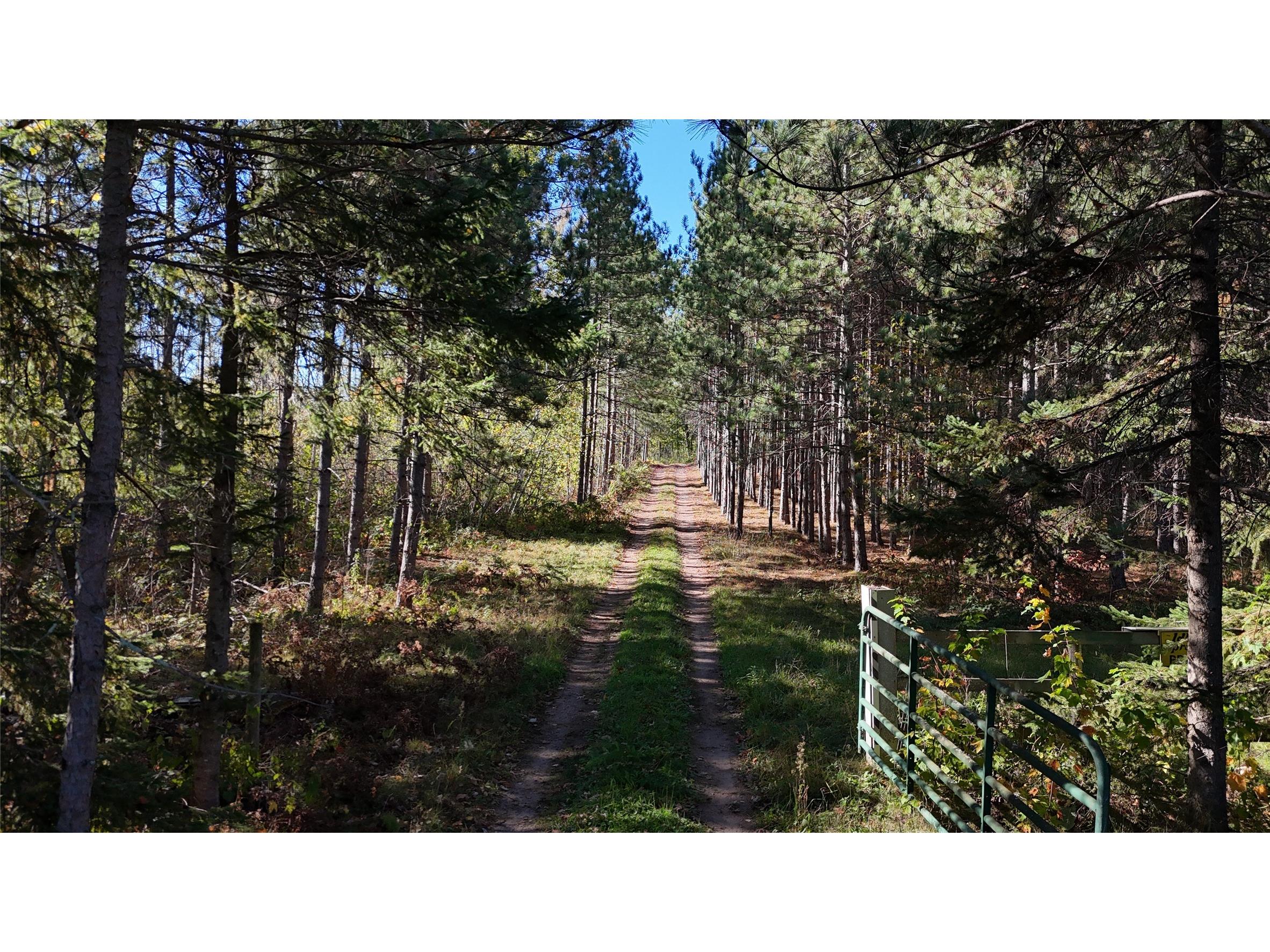 XXX Mann Road Spooner WI 54801 - Spooner Lake 1600531 image6