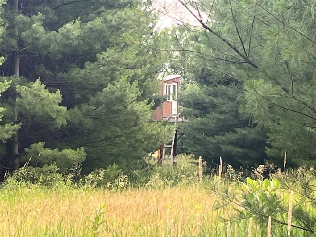 XXX N Fork Drive, Grantsburg, WI, 54840 MLS 1566548 Edina Realty