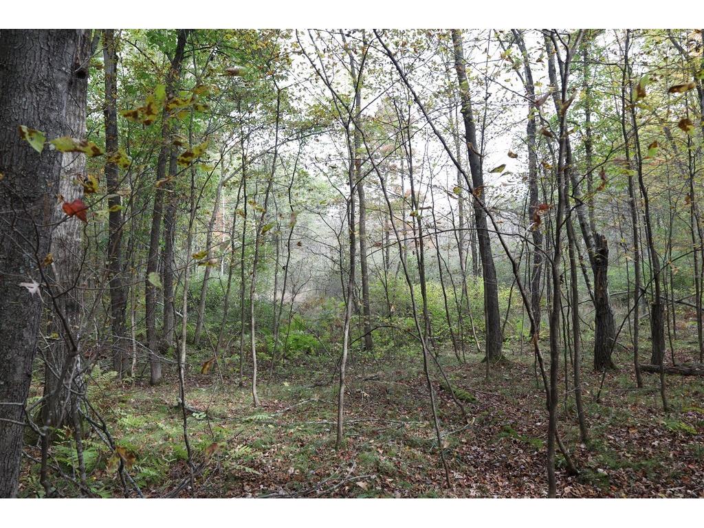 XXX Norman's Landing Road Webster WI 54893 1596092 image12