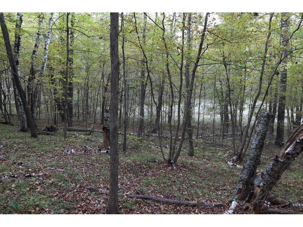 XXX Norman's Landing Road Webster WI 54893 1596092 image13
