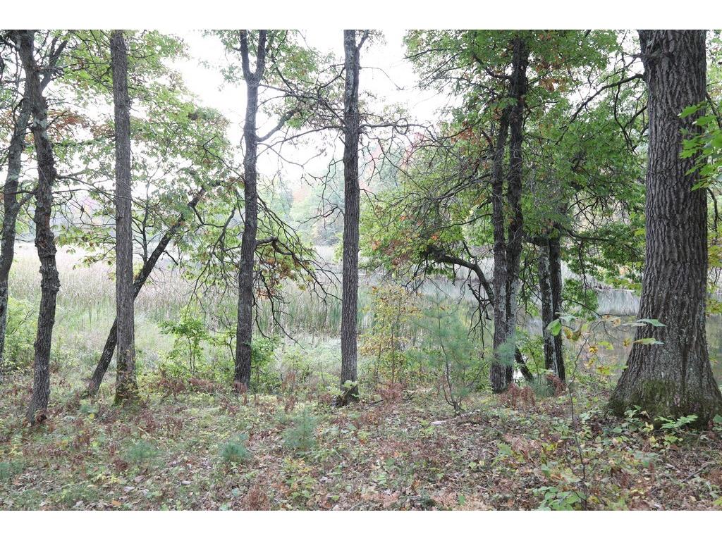 XXX Norman's Landing Road Webster WI 54893 1596092 image4