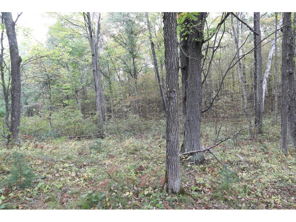 XXX Norman's Landing Road Webster WI 54893 1596092 image6