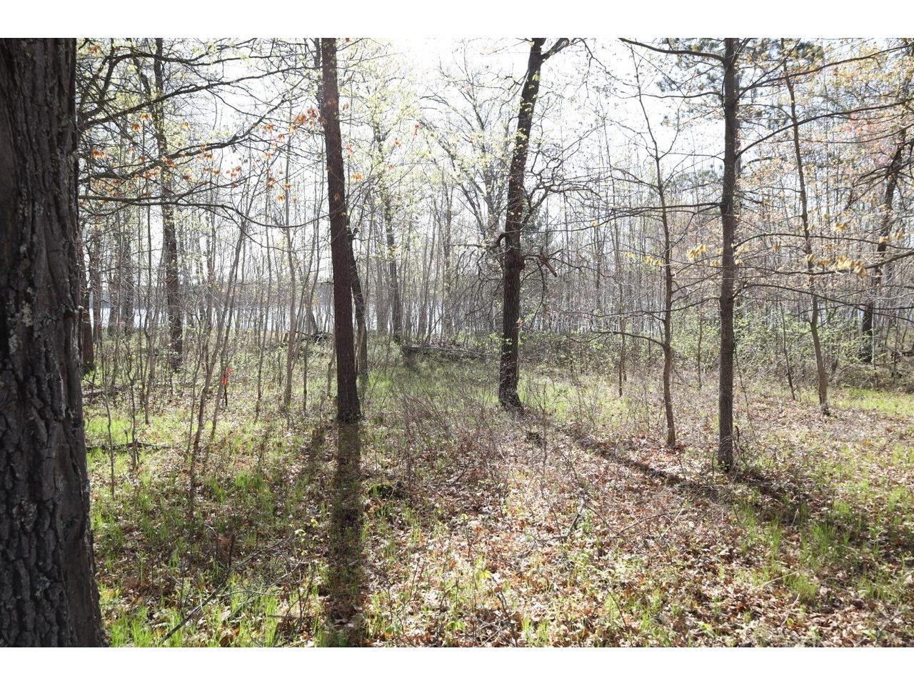 XXX Oaks Court Danbury WI 54830 - Little Bear Lake 1601227 image10