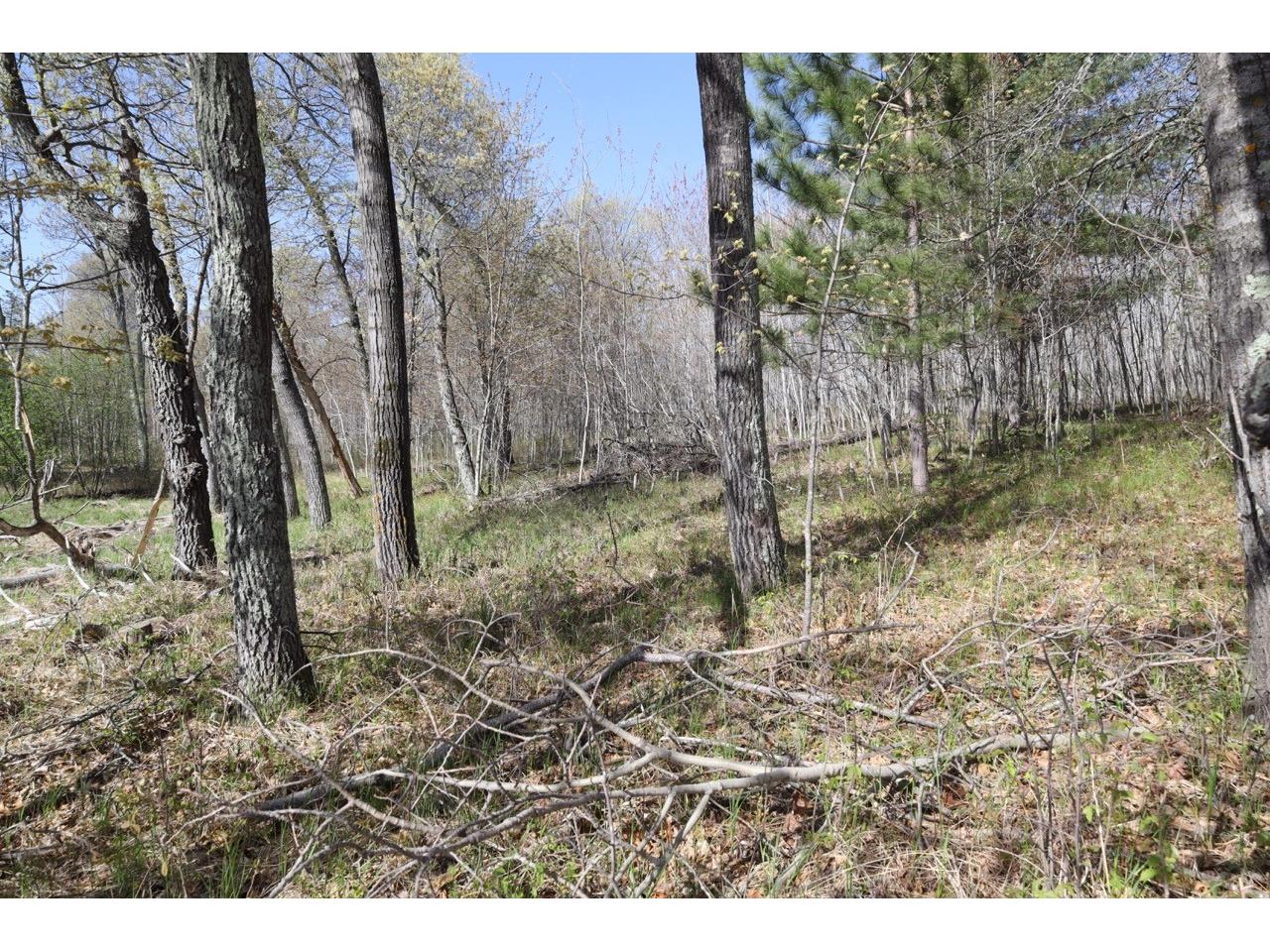 XXX Oaks Court Danbury WI 54830 - Little Bear Lake 1601227 image7