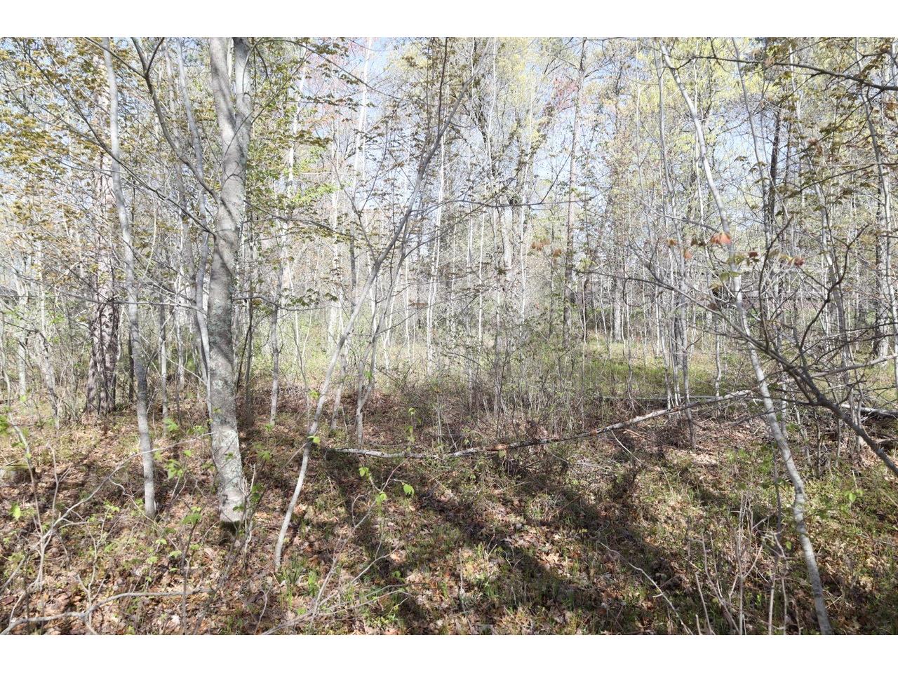 XXX Oaks Court Danbury WI 54830 - Little Bear Lake 1601227 image9