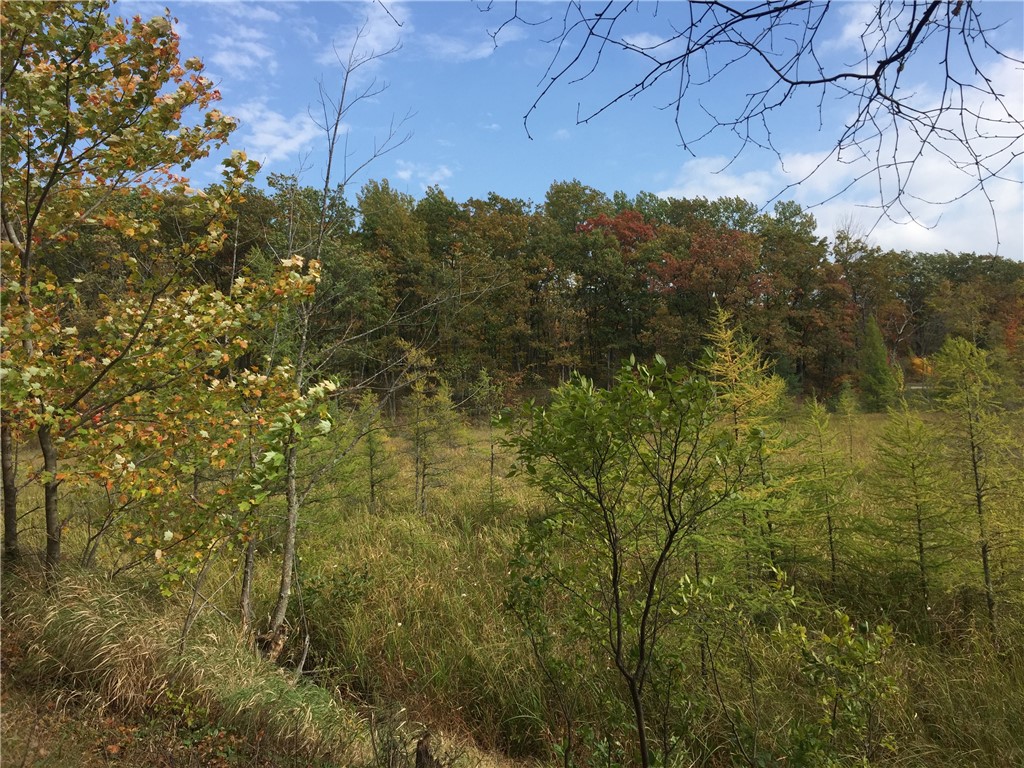 XXX Old Highway 63 Shell Lake WI 54871 1590622 image10