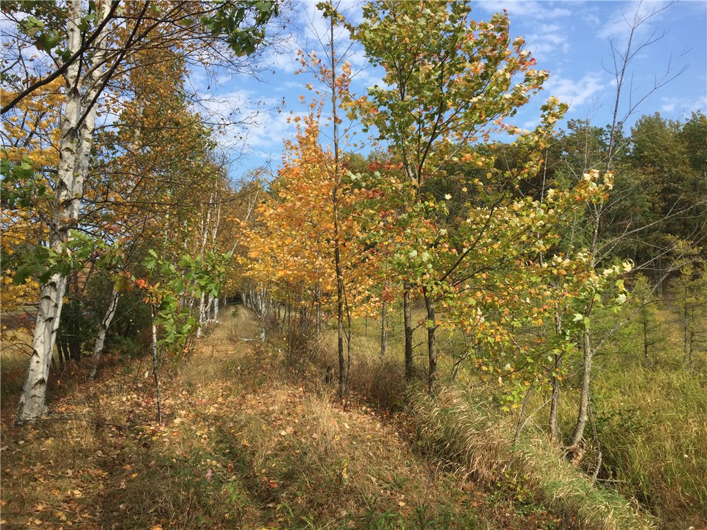 XXX Old Highway 63 Shell Lake WI 54871 1590622 image11