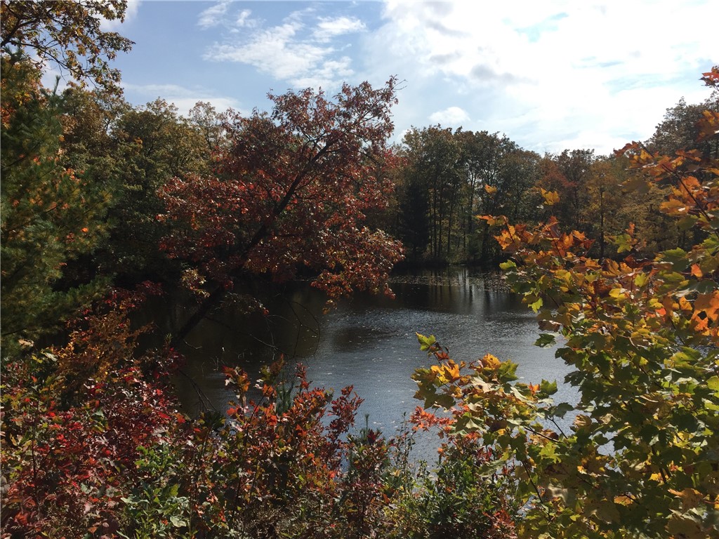 XXX Old Highway 63 Shell Lake WI 54871 1590622 image13