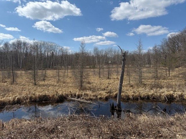 XXX Old Highway 63 Shell Lake WI 54871 1590622 image17