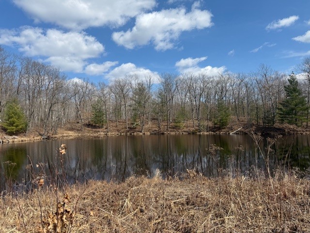 XXX Old Highway 63 Shell Lake WI 54871 1590622 image19