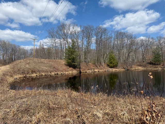 XXX Old Highway 63 Shell Lake WI 54871 1590622 image20