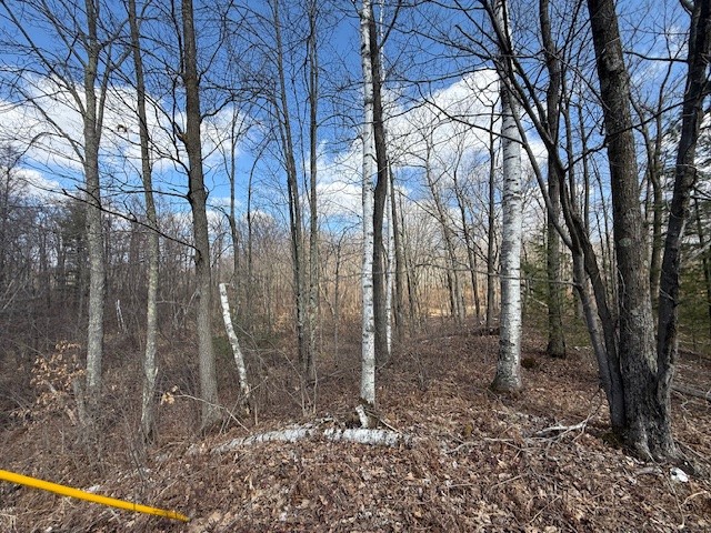 XXX Old Highway 63 Shell Lake WI 54871 1590622 image23