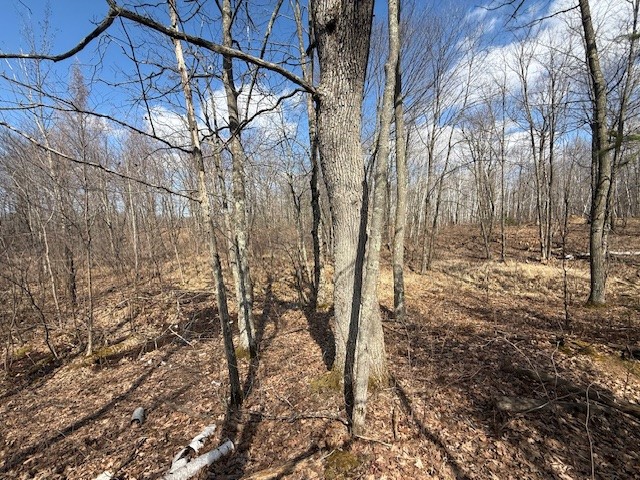 XXX Old Highway 63 Shell Lake WI 54871 1590622 image24