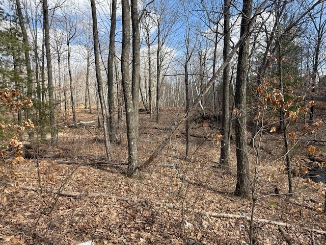 XXX Old Highway 63 Shell Lake WI 54871 1590622 image25