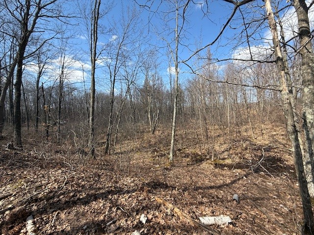 XXX Old Highway 63 Shell Lake WI 54871 1590622 image26