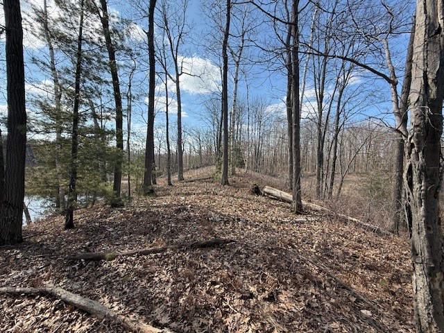 XXX Old Highway 63 Shell Lake WI 54871 1590622 image27