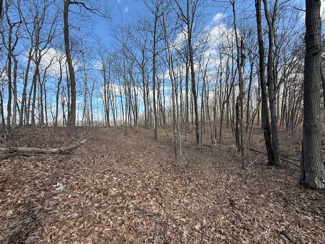 XXX Old Highway 63 Shell Lake WI 54871 1590622 image29