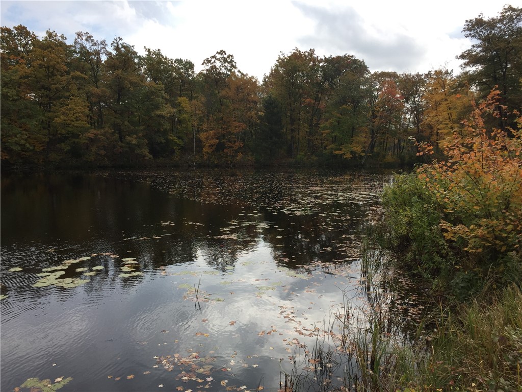 XXX Old Highway 63 Shell Lake WI 54871 1590622 image5