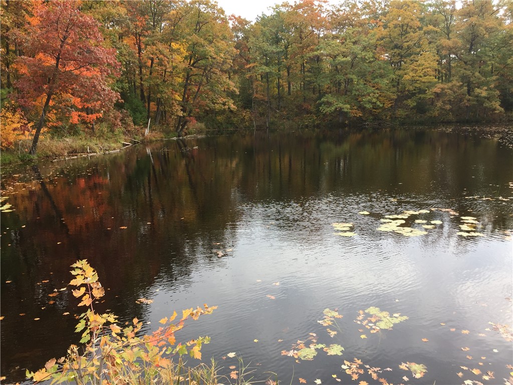 XXX Old Highway 63 Shell Lake WI 54871 1590622 image6