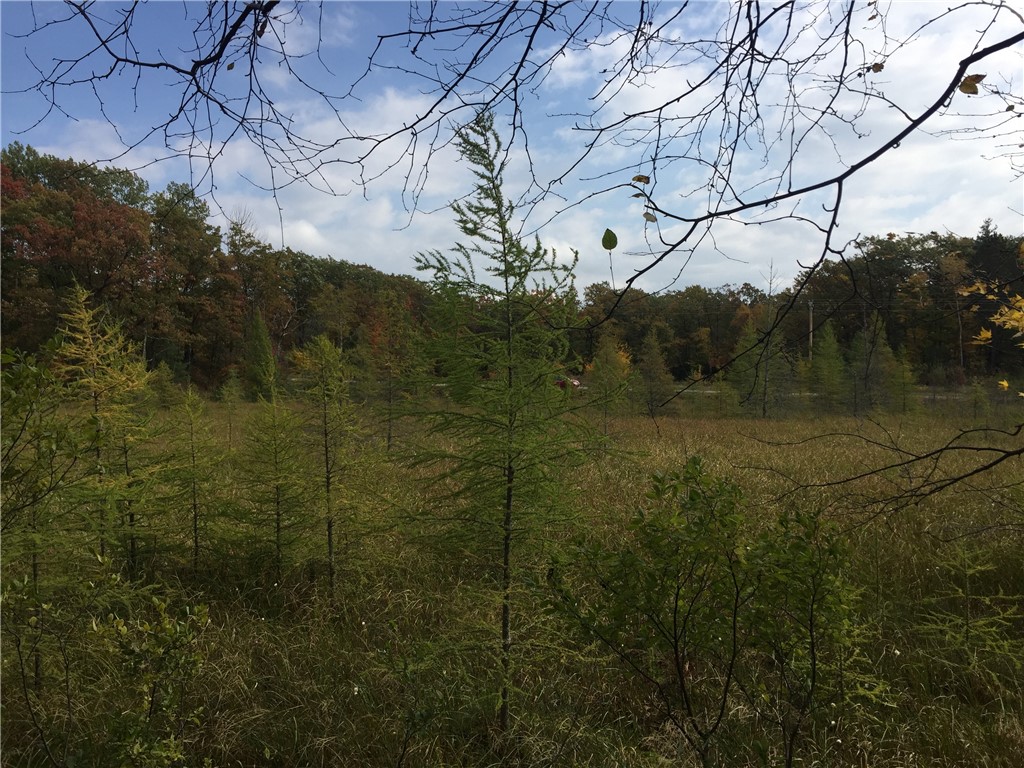 XXX Old Highway 63 Shell Lake WI 54871 1590622 image9