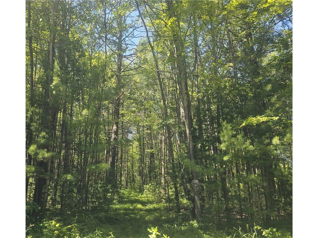 XXX Peterson Road Webster WI 54893 1583105 image1