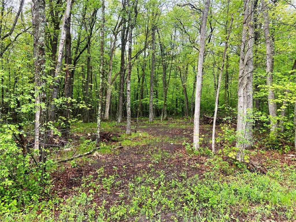 XXX Pike Bend Road Webster WI 54893 1582131 image1