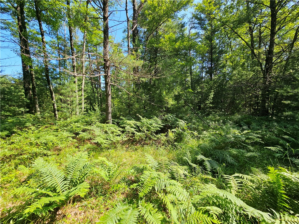 XXX Potter Road Black River Falls WI 54615 1593116 image1