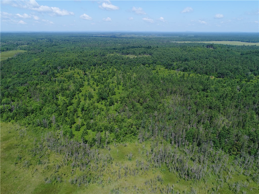 XXX Potter Road Black River Falls WI 54615 1593116 image11