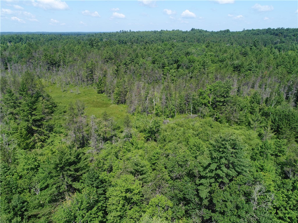 XXX Potter Road Black River Falls WI 54615 1593116 image14