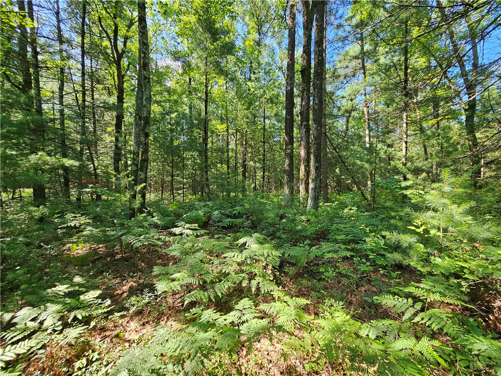 XXX Potter Road Black River Falls WI 54615 1593116 image2