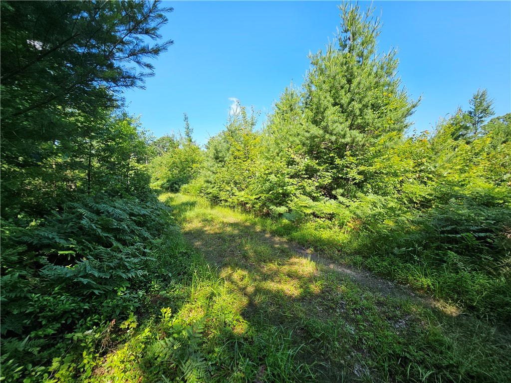 XXX Potter Road Black River Falls WI 54615 1593116 image3