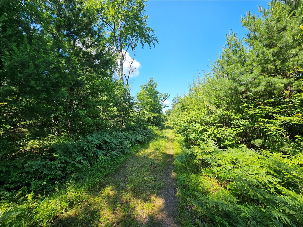 XXX Potter Road Black River Falls WI 54615 1593116 image4