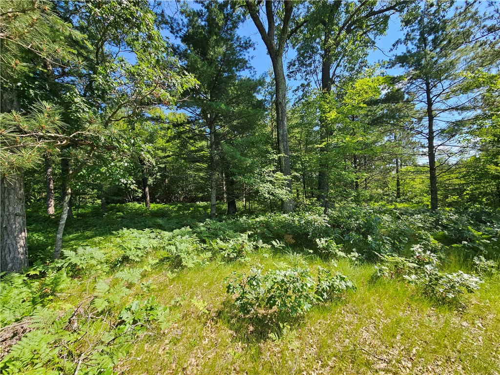 XXX Potter Road Black River Falls WI 54615 1593116 image5