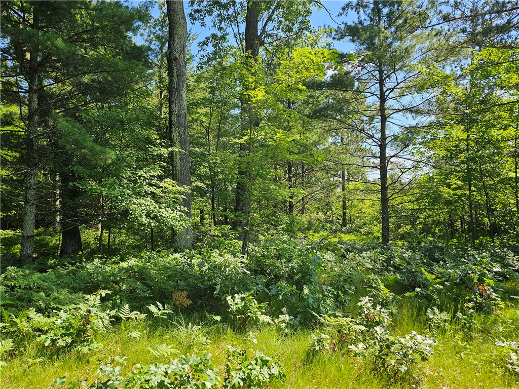 XXX Potter Road Black River Falls WI 54615 1593116 image6