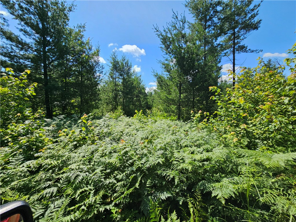 XXX Potter Road Black River Falls WI 54615 1593116 image7