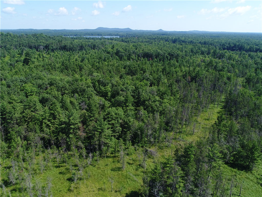 XXX Potter Road Black River Falls WI 54615 1593116 image9