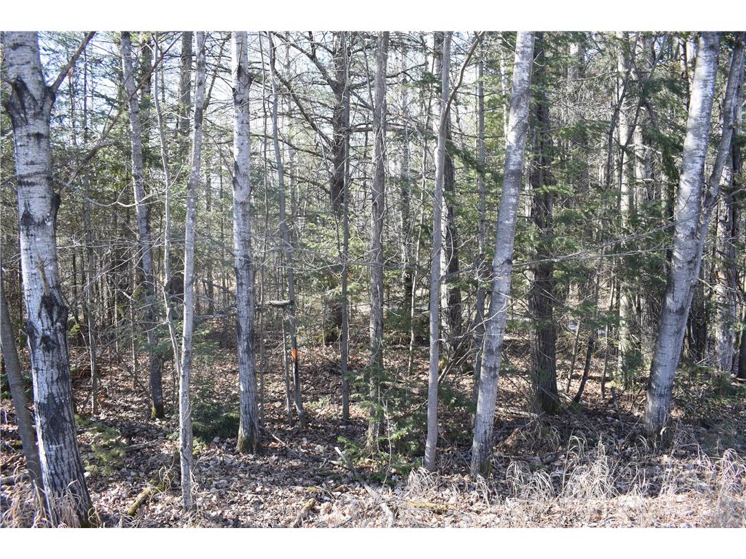 XXX S 2nd Avenue N Lake Nebagamon WI 54849 1589621 image13